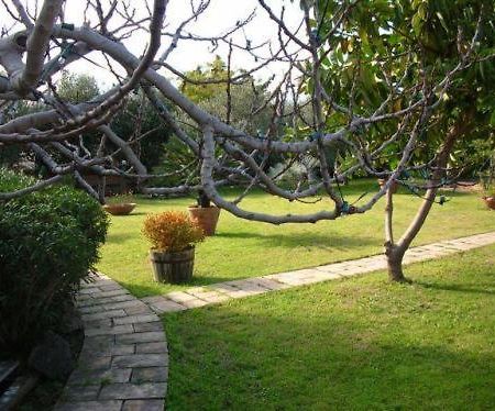 جيارديني ناكسوس Villa Chiarenza Maison D'Hotes المظهر الخارجي الصورة