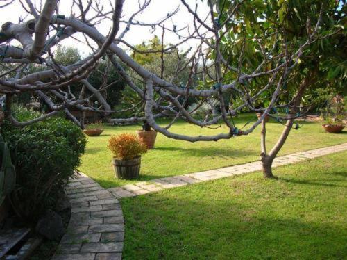 جيارديني ناكسوس Villa Chiarenza Maison D'Hotes المظهر الخارجي الصورة